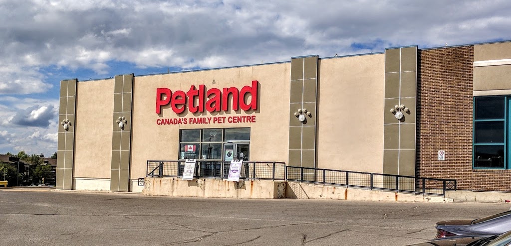 Petland Confederation | 300 Confederation Dr Unit 40, Saskatoon, SK S7L 4R6, Canada | Phone: (306) 978-6990