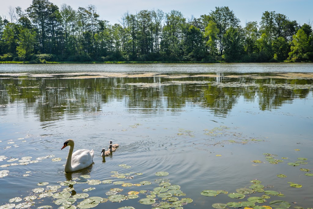 Forest Motel | 2941 Forest Rd, Stratford, ON N5A 6S5, Canada | Phone: (519) 271-4573