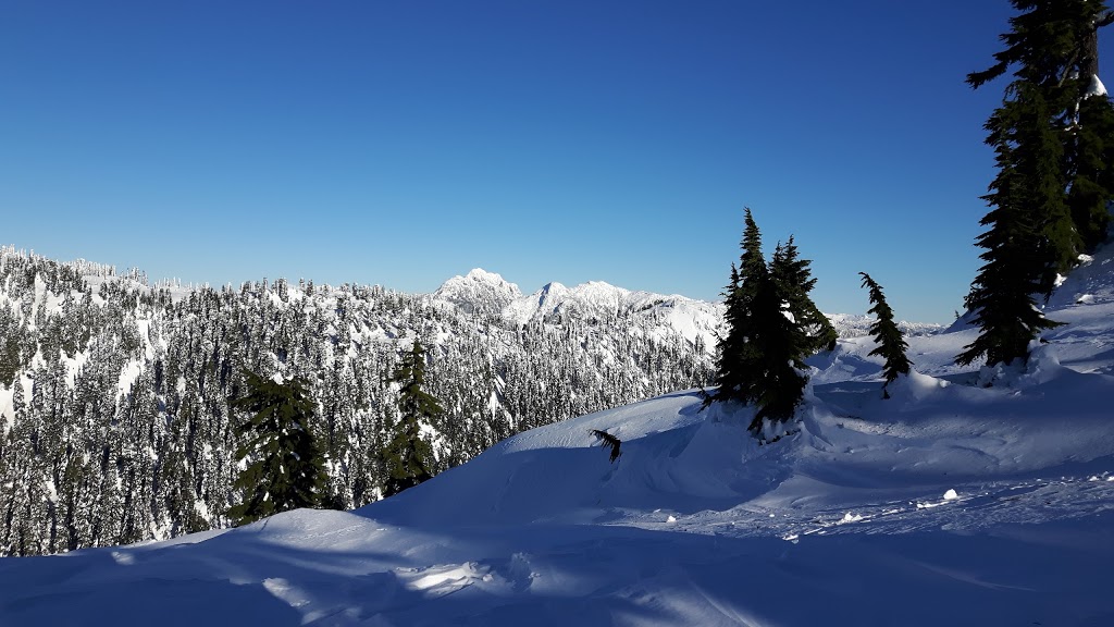 Thunderbird Ridge | North Vancouver, BC V7K 1X8, Canada