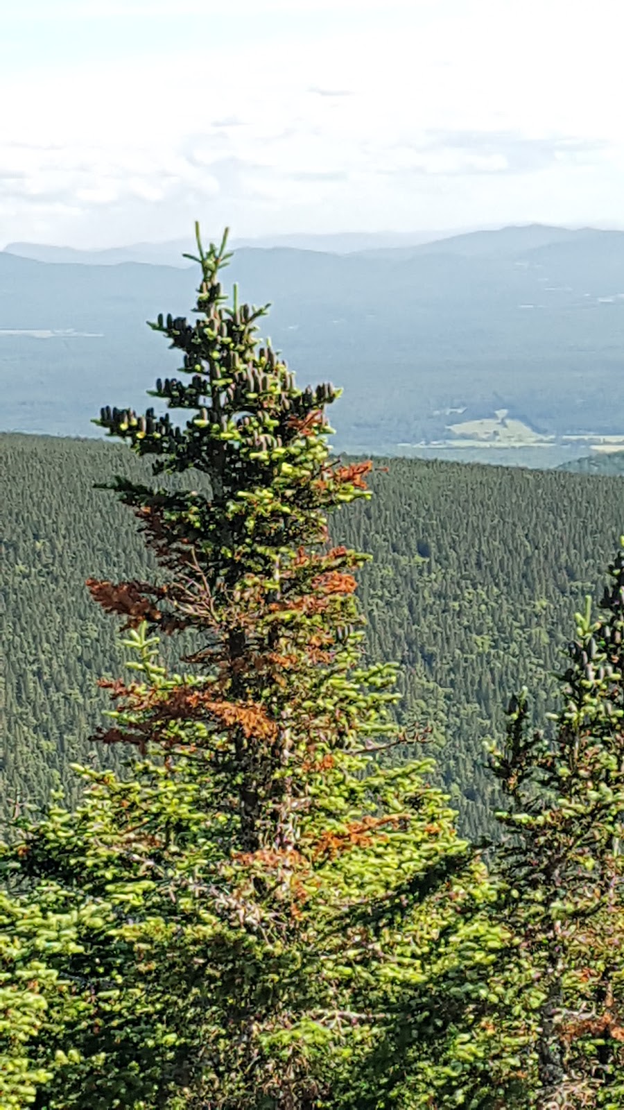 Mont Mégantic Observatory | Observatoires, Notre-Dame-des-Bois, QC J0B 2E0, Canada | Phone: (819) 888-2941