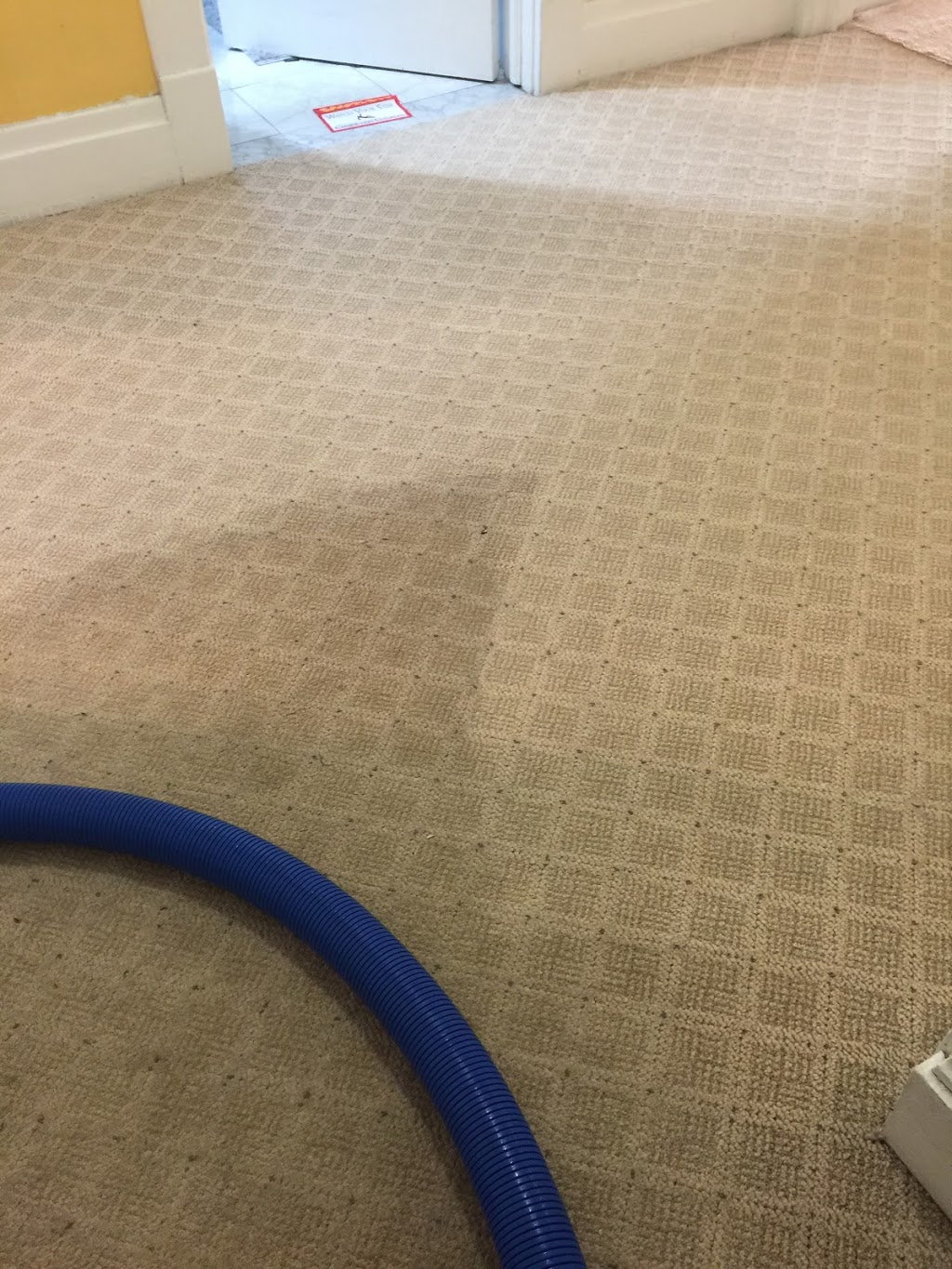 Pristine Steam Carpet Cleaning | 2140 Love Rd, Grand Island, NY 14072, USA | Phone: (716) 867-1143