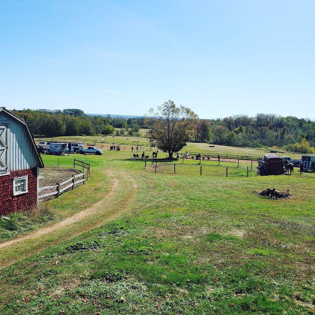 Clay Hill Farm | 922 Bains Rd, Canning, NS B0P 1H0, Canada | Phone: (902) 582-1224