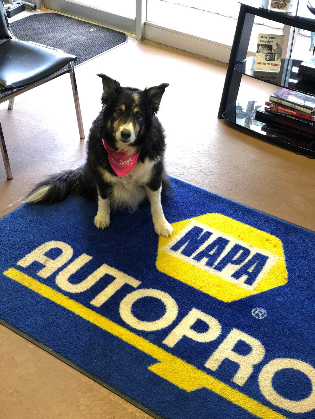 NAPA AUTOPRO - Fairview Tire AutoPro | 2345 Fairview St, Burlington, ON L7R 2E3, Canada | Phone: (905) 632-8151