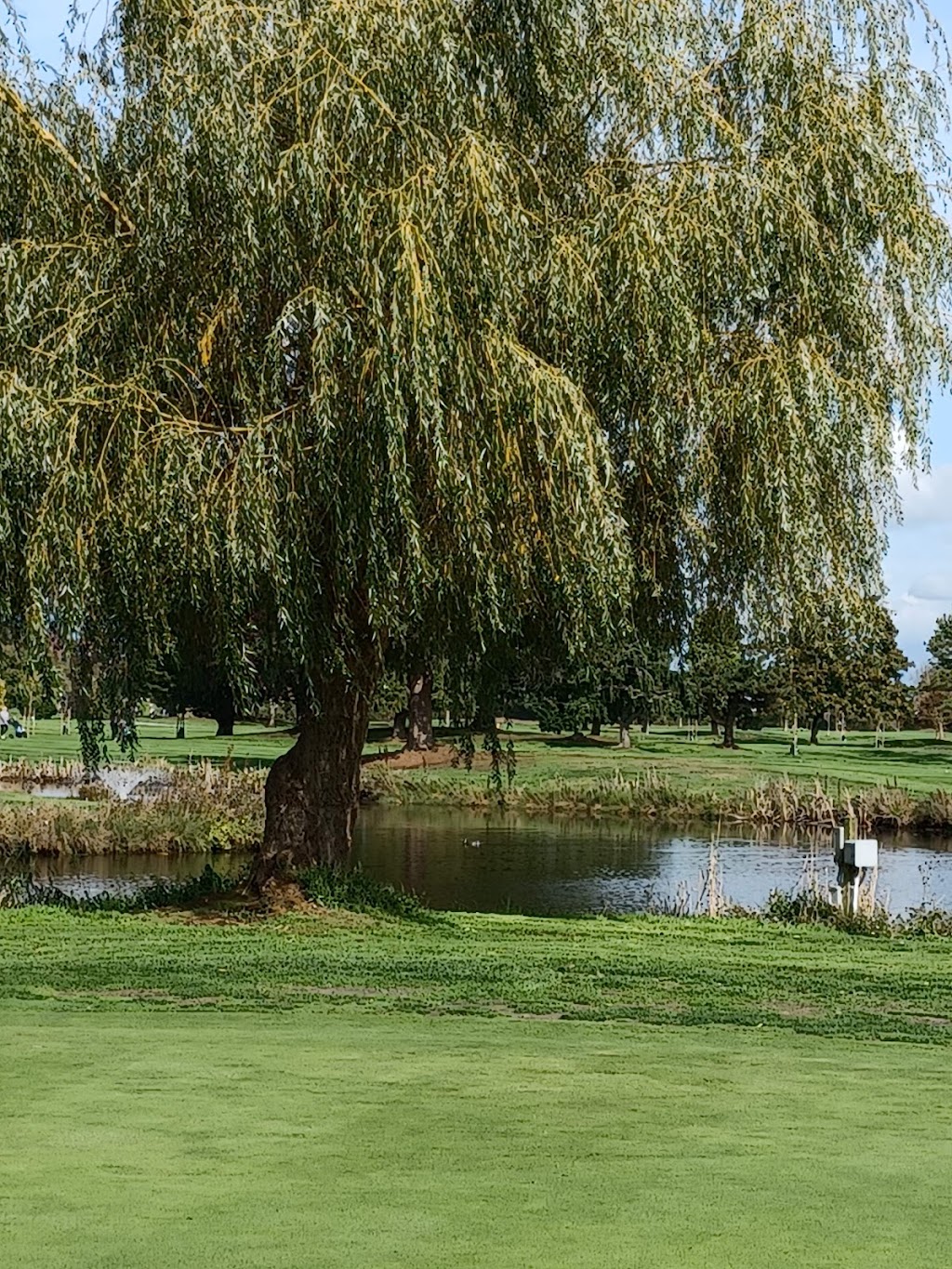 Nico-Wynd Golf Course | 3601 Nico Wynd Dr, Surrey, BC V4P 1J4, Canada | Phone: (604) 535-9511