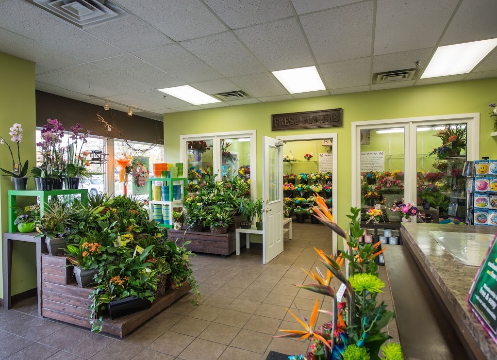 Forest of Flowers | 841 Wellington Rd b2, London, ON N6E 3R5, Canada | Phone: (519) 680-2529