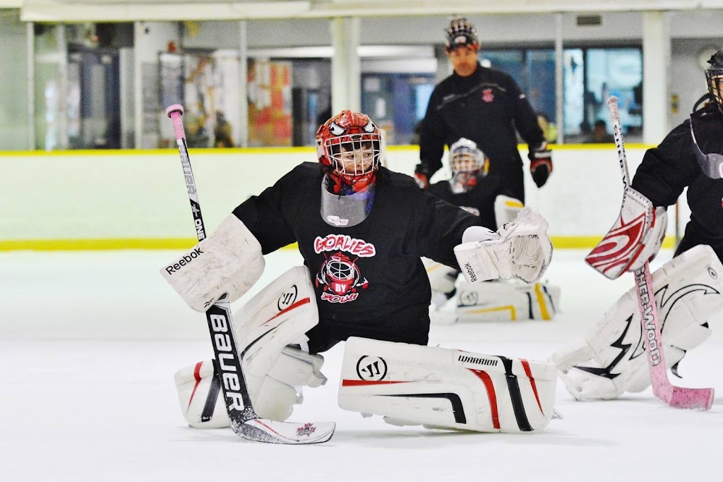 Goalies by Doug | 146 Carnegie St, Ingersoll, ON N5C 4E7, Canada | Phone: (519) 926-7283