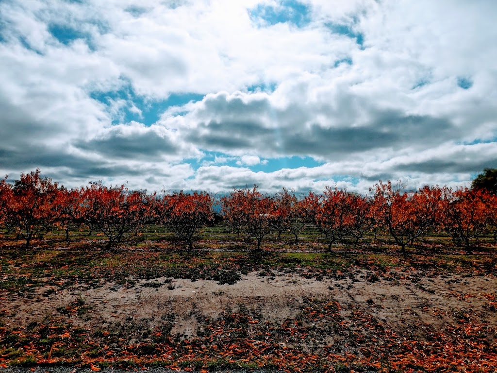 Sunnybrook Farm | 1425 Lakeshore Rd, Niagara-on-the-Lake, ON L0S 1J0, Canada | Phone: (905) 468-8878