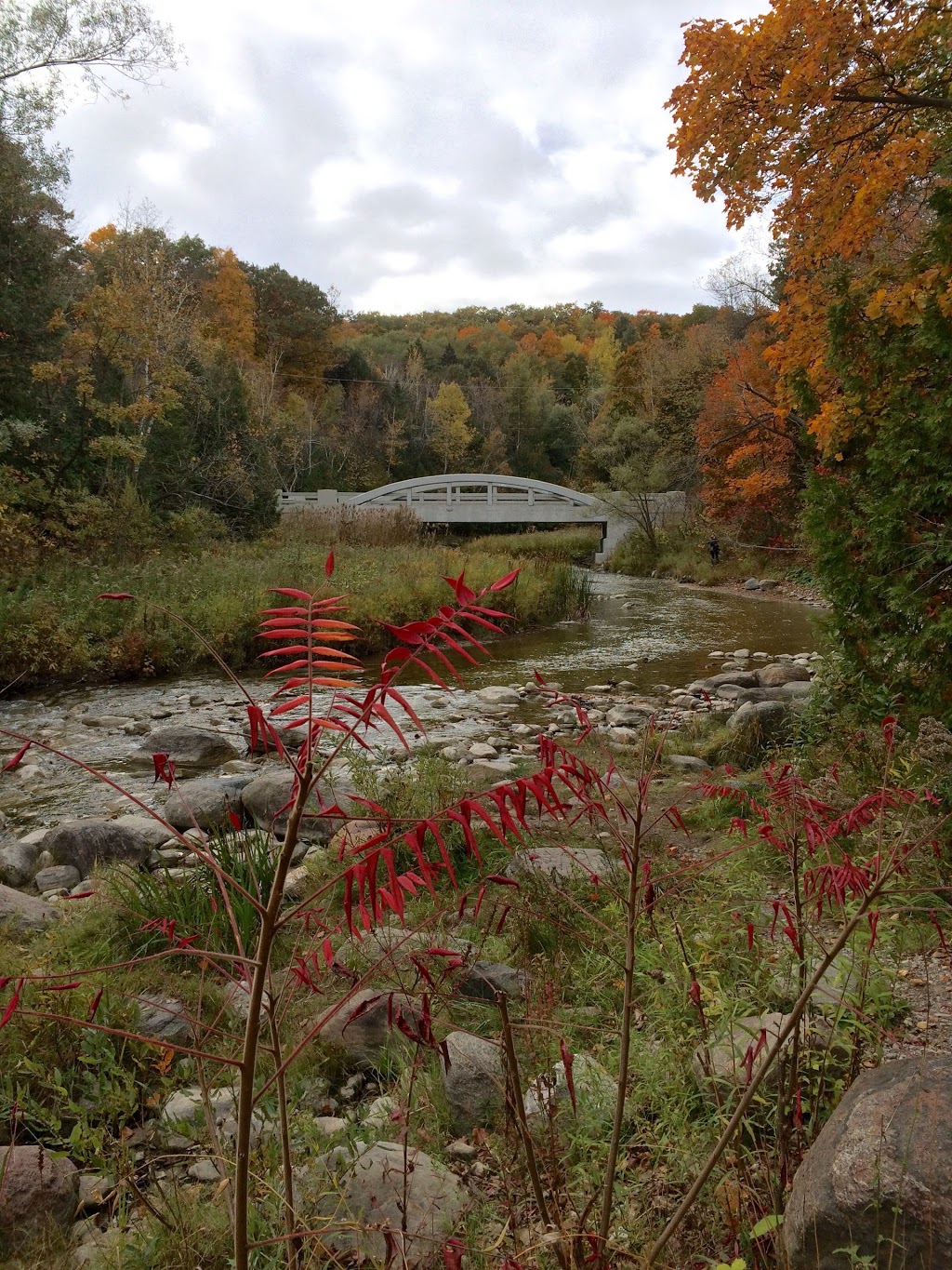 Rouge Valley Park | 1088-1090 Rouge Valley Dr, Pickering, ON L1V 5R7, Canada