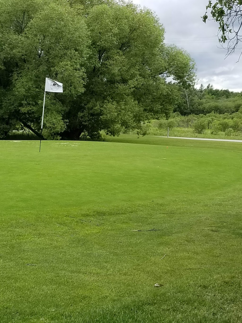 Black Bear Golf Club | 9 Black Bear Drive, Lac du Bonnet, MB R0E 1A0, Canada | Phone: (204) 345-9977