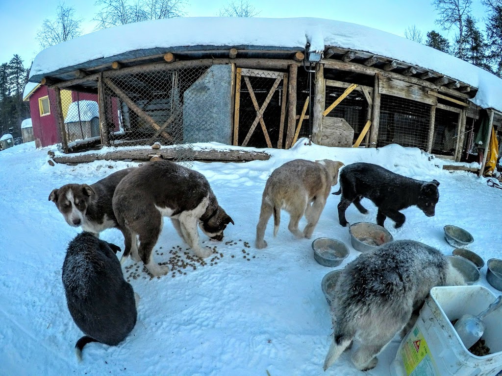 Relais Randonnées du Nord | Maria-Chapdelaine, QC G0W 1R0, Canada | Phone: (418) 679-6946