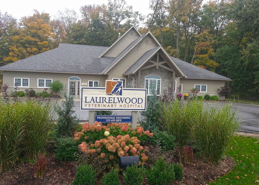 Laurelwood Veterinary Hospital | 515 Benjamin Rd, Waterloo, ON N2J 3Z4, Canada | Phone: (519) 699-0875