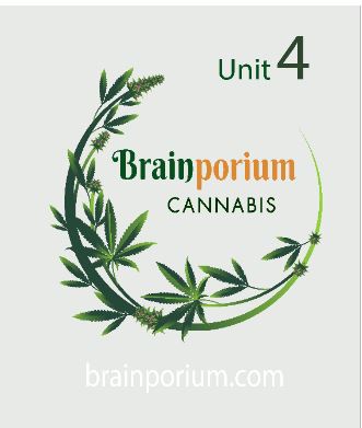 Brainporium Cannabis Dispensary | 1910 Kennedy Rd #4, Scarborough, ON M1P 2L8, Canada | Phone: (416) 624-5856