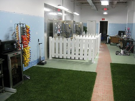 Dog-Gone Clean Inc. | 625 Greenhill Ave #12B, Hamilton, ON L8K 5E8, Canada | Phone: (905) 869-2917