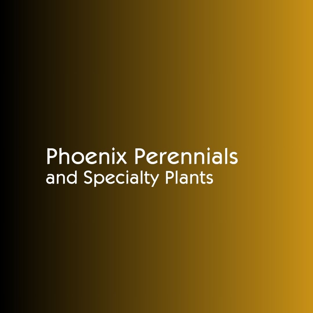 Pheonix Perennials & Specialty Plants | 3380 No 6 Rd, Richmond, BC V6V 1P5, Canada | Phone: (060) 427-04133