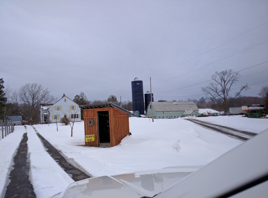 Honey Store And Farm. | 1450 Dunning Rd, Cumberland, ON K4C 1P9, Canada | Phone: (613) 833-9035