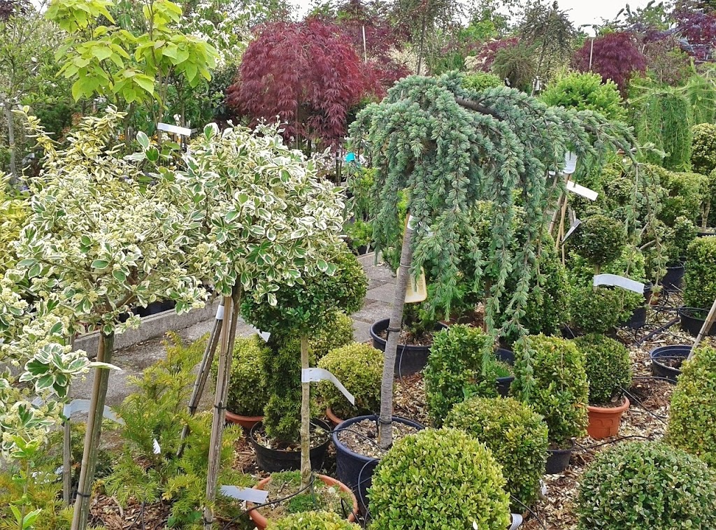 Pineridge Nursery & Garden Centre | 8062 County 2 Rd, Cobourg, ON K9J 4J7, Canada | Phone: (905) 372-8848