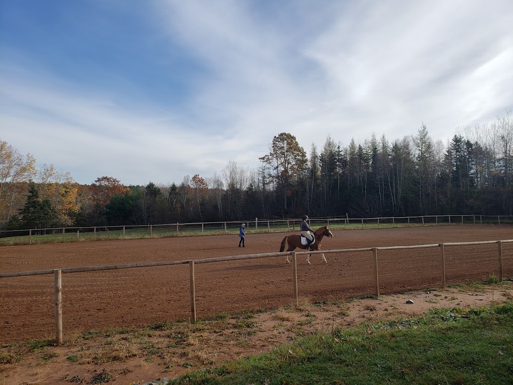 Valhalla Stables | 5124 Nova Scotia Trunk 14, Upper Nine Mile River, NS B2S 3A5, Canada | Phone: (902) 957-0097