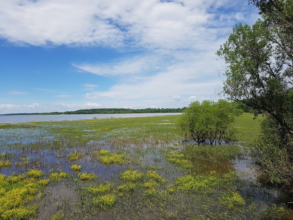 Réserve naturelle de Pointe-Yamachiche | Yamachiche, QC G0X 3L0, Canada