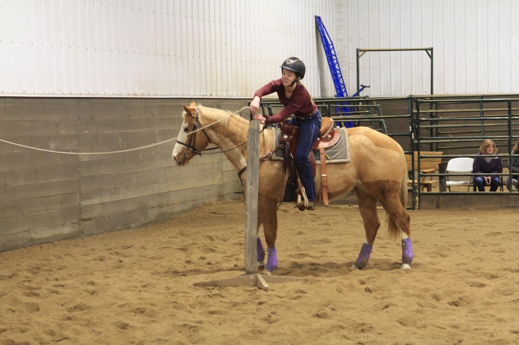 ScotianBay Equine Services | 51°1104.1"N, 113°5318.2"W, Rocky View County, AB T0M 0T0, Canada | Phone: (587) 832-0148