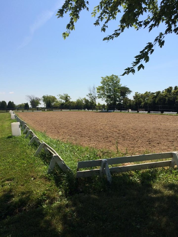 Stonehaven Farm | 6863 County 50 Rd W, Harrow, ON N0R 1G0, Canada | Phone: (226) 345-7548