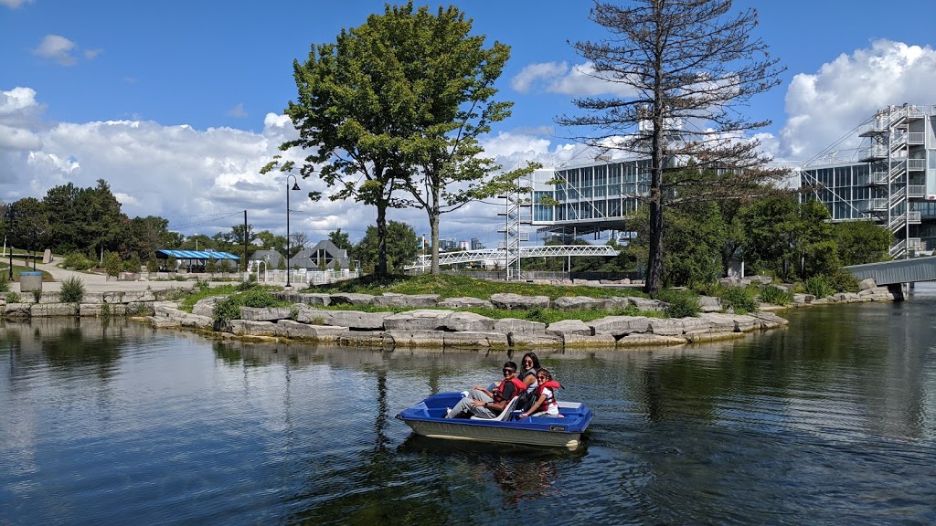 Lake Shore Boat Rentals, Pedal Boat and Kayak | 955 Lake Shore Blvd W, Toronto, ON M6K 3B9, Canada | Phone: (416) 836-4724