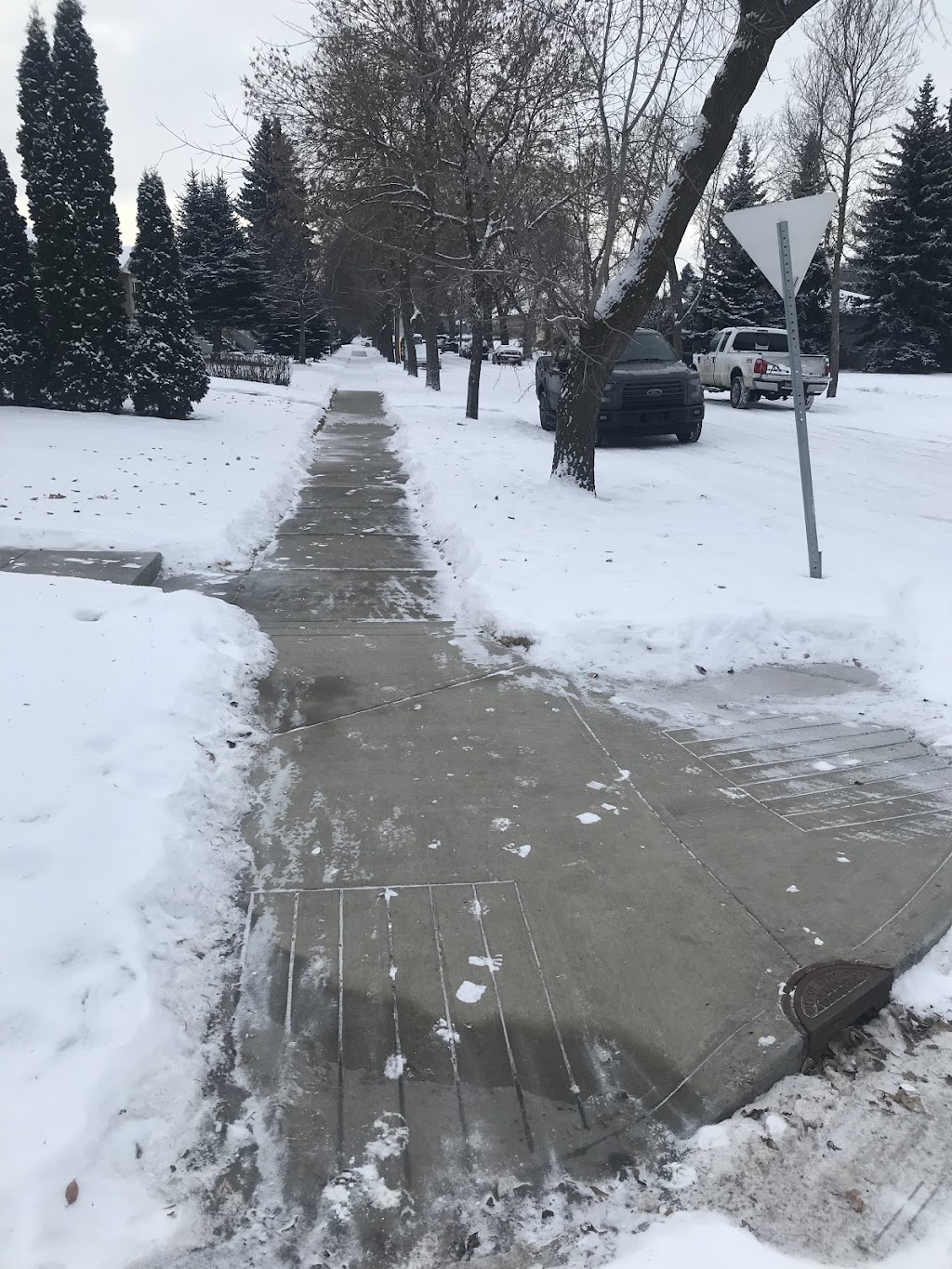 The Sidewalk Guys (North America) | 10303 65 Ave NW, Edmonton, AB T6H 1V1, Canada | Phone: (587) 828-2019