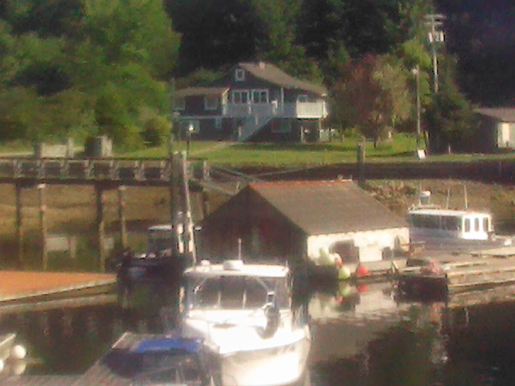 Bamfield Sportfishing | 14 S Bamfield Rd, Bamfield, BC V0R 1B0, Canada | Phone: (250) 728-3474