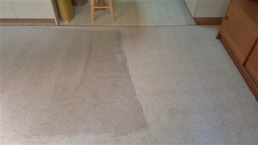 True Clean Carpet Care | 5578 Woodland Crescent W, Port Alberni, BC V9Y 8E6, Canada | Phone: (778) 419-3500