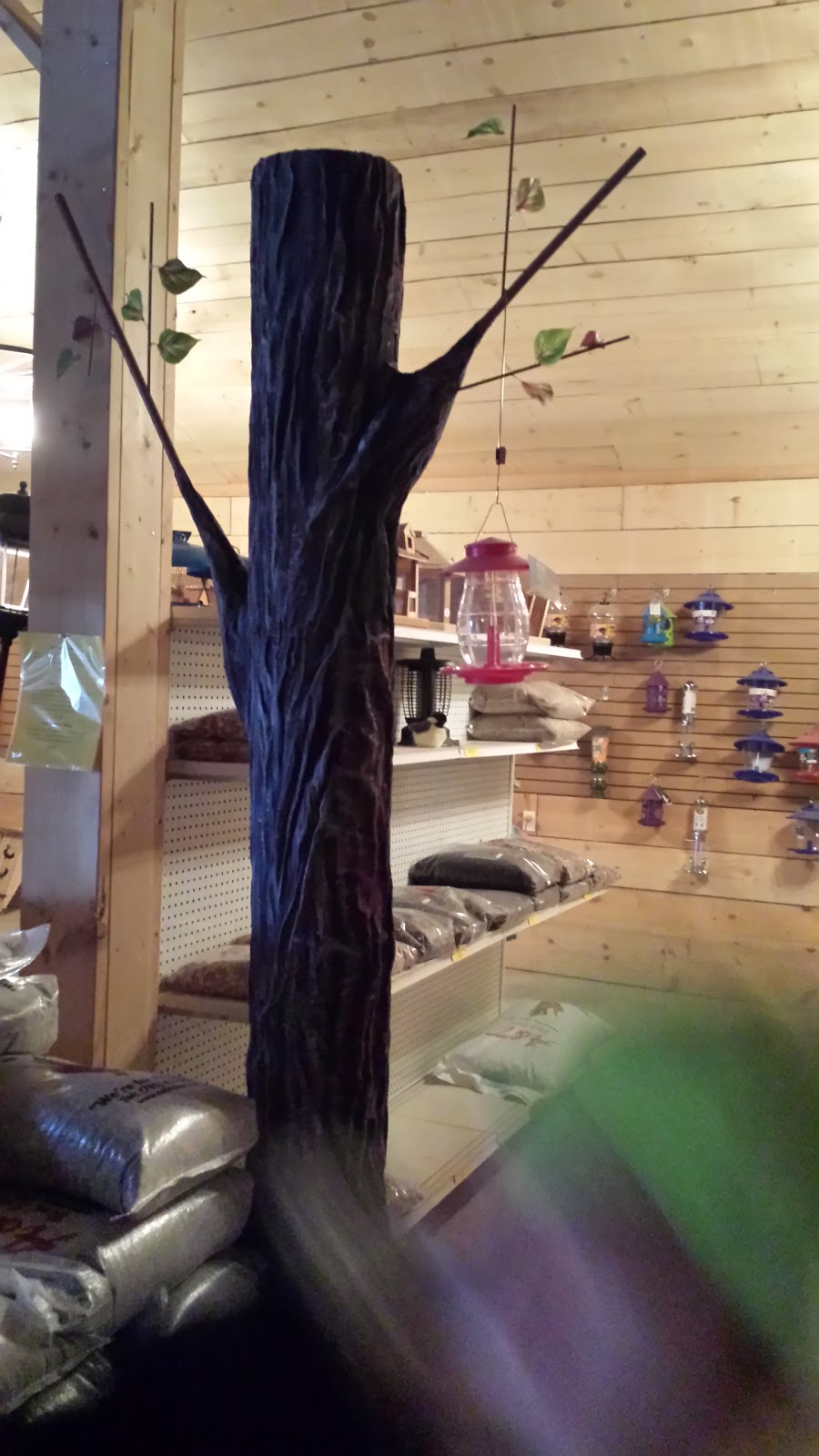 A & D Bird Seed Country Store | 1617 County Rd 42, Stayner, ON L0M 1S0, Canada | Phone: (705) 428-2465