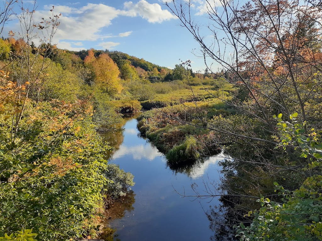 Chéticamp Adventure Co | 15273 Cabot Trail, Chéticamp, NS B0E 1H0, Canada | Phone: (902) 224-0407