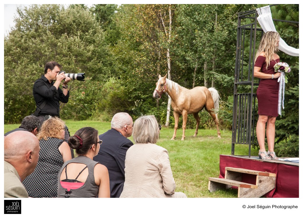 Joël Séguin Photographe | 2865 Rue Maricourt, Sherbrooke, QC J1K 1R9, Canada | Phone: (819) 791-0795