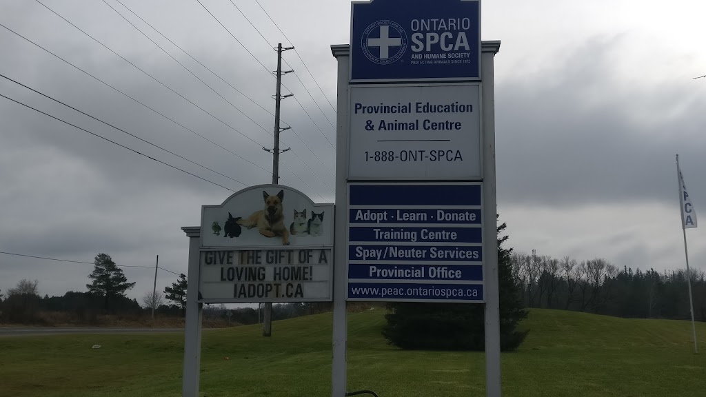 Ontario SPCA Provincial Education & Animal Centre | 16586 Woodbine Ave, Whitchurch-Stouffville, ON L4A 2W3, Canada | Phone: (905) 898-7122