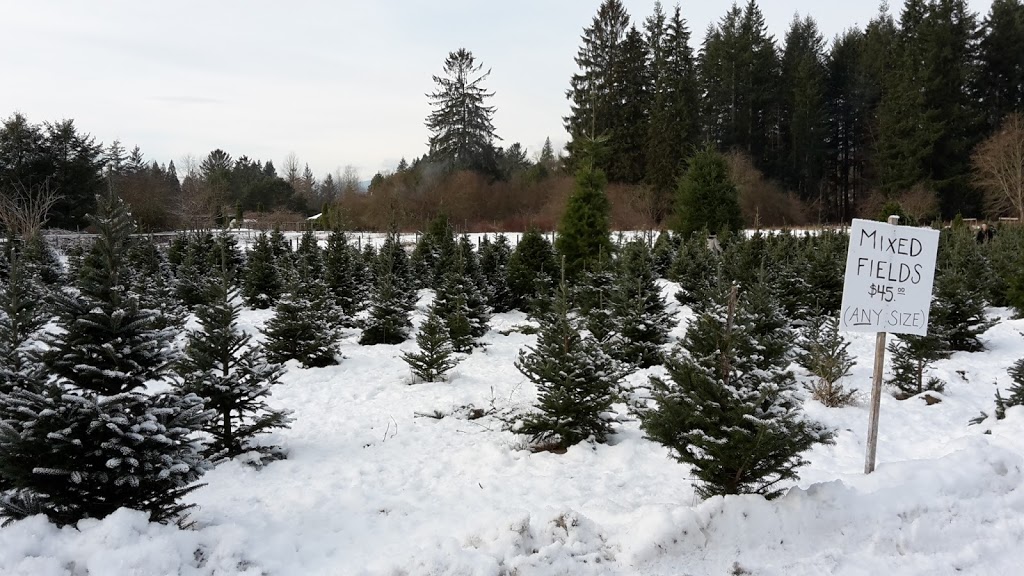 Alouette Tree Farm Ltd | 23083 132 Ave, Maple Ridge, BC V4R 0A8, Canada | Phone: (604) 467-0100