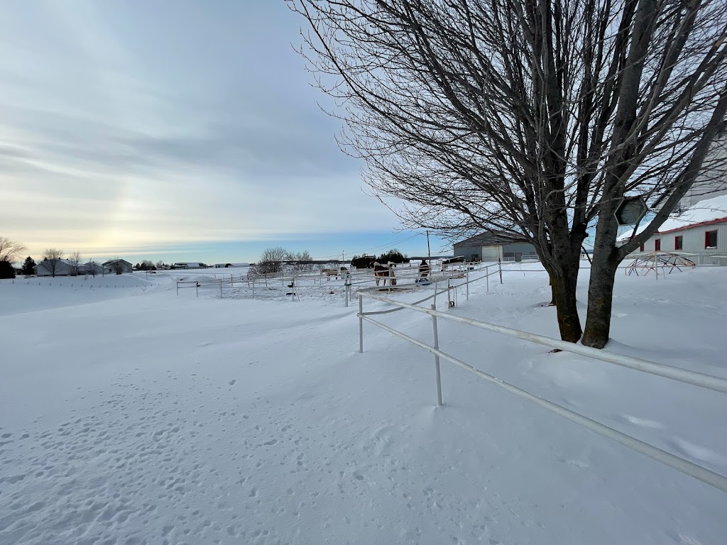 Equi-Sens centre équestre thérapeutique | 20661 Rue Victor, Mirabel, QC J7J 1P4, Canada | Phone: (450) 325-7367