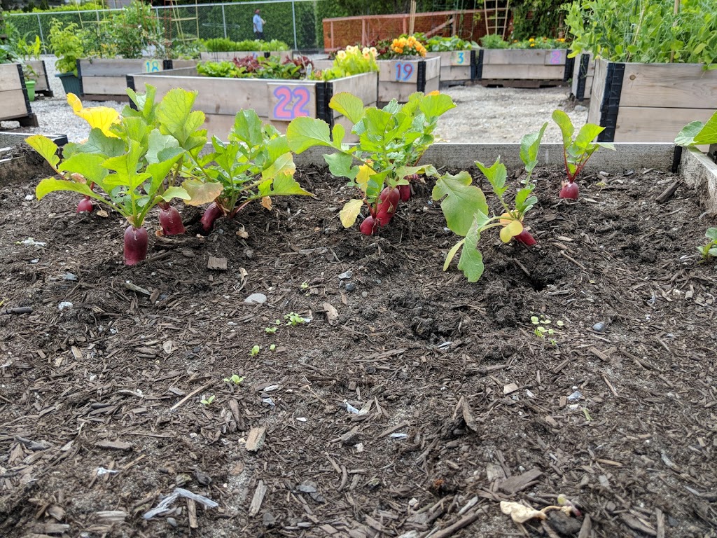 Vancouver Community Garden | 1008 W 41st Ave, Vancouver, BC V6M 1W8, Canada | Phone: (604) 873-7000