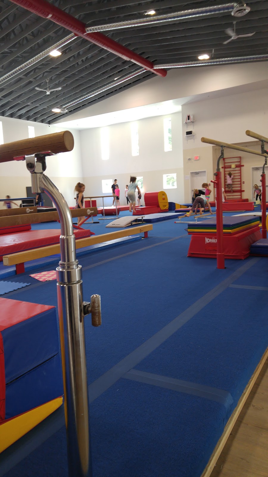 Victoria Gymnastics | 520 Mt View Ave, Victoria, BC V9B 2B1, Canada | Phone: (778) 265-6414