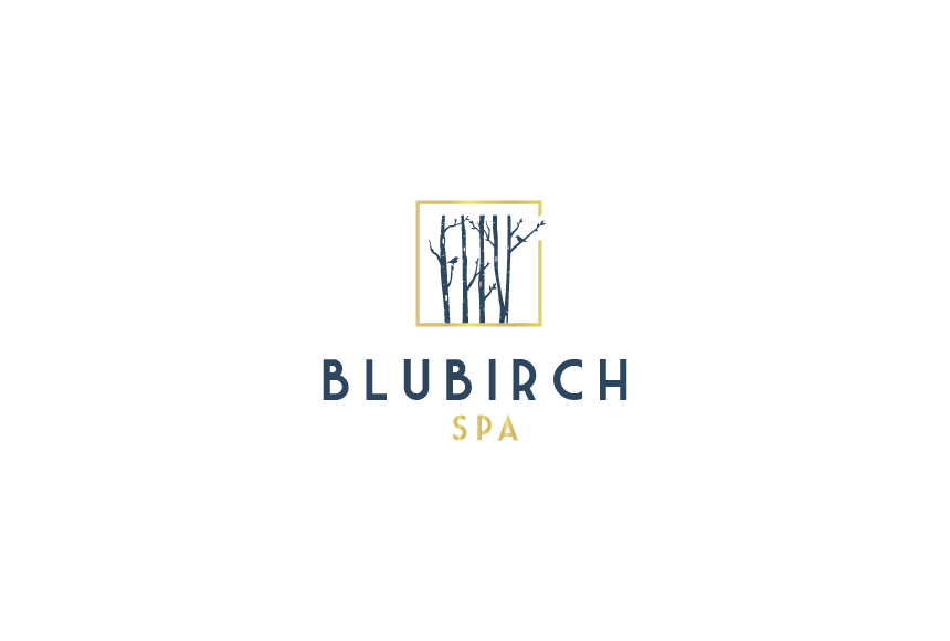 BluBirch Spa | 64 Blucher St, Kitchener, ON N2H 5T8, Canada | Phone: (519) 570-2215