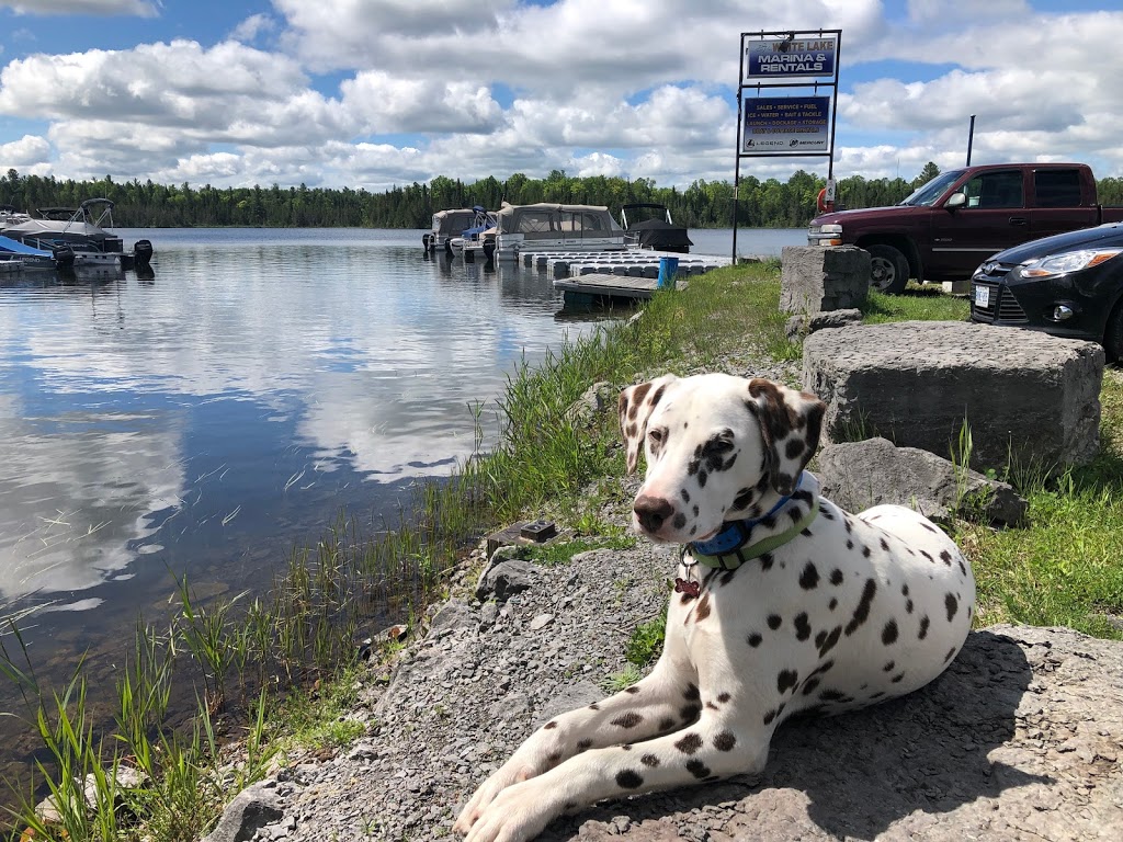 White Lake Marina | Legend Boats | Mercury Outboards | Boat Rental | 69 Lindsay Ln, White Lake, ON K0A 3L0, Canada | Phone: (613) 623-2568