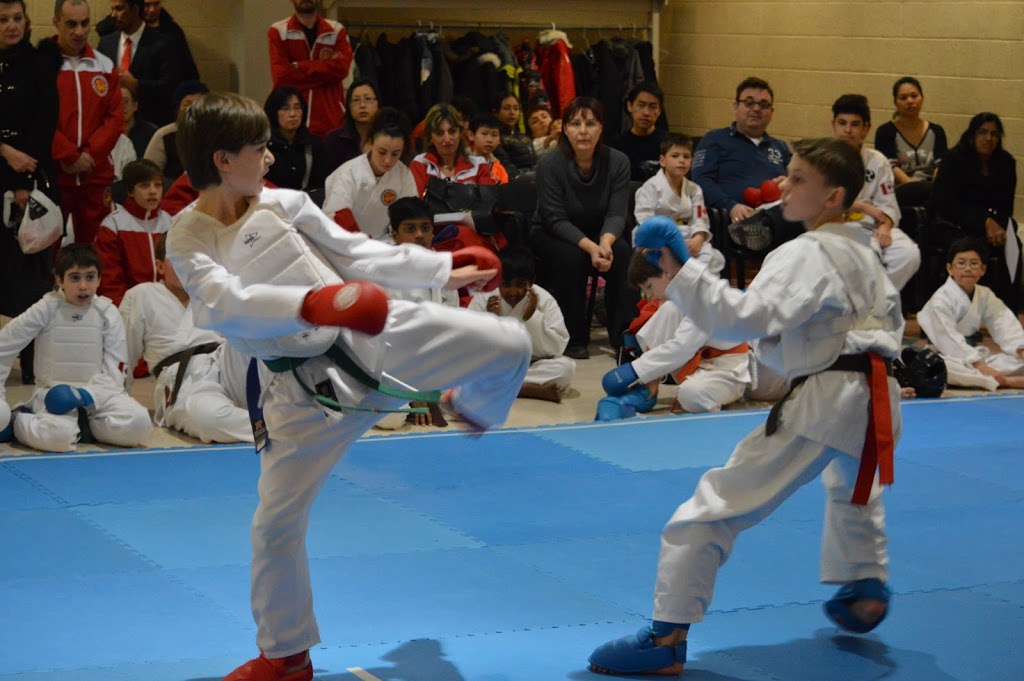 York Centre Karate | 580 Finch Ave W, North York, ON M2R 1N7, Canada | Phone: (416) 276-1932