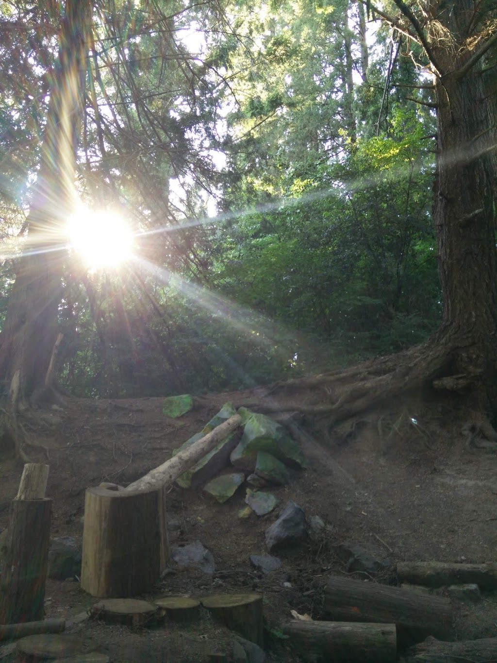 Guy Richardson Park | Surrey, BC V3S 3X4, Canada