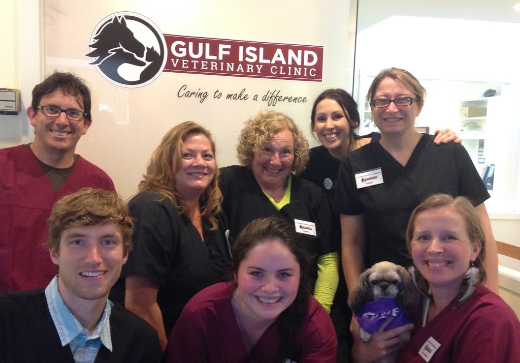 Gulf Island Veterinary Clinic | 540 Lower Ganges Rd, Salt Spring Island, BC V8K 2P6, Canada | Phone: (250) 537-5334