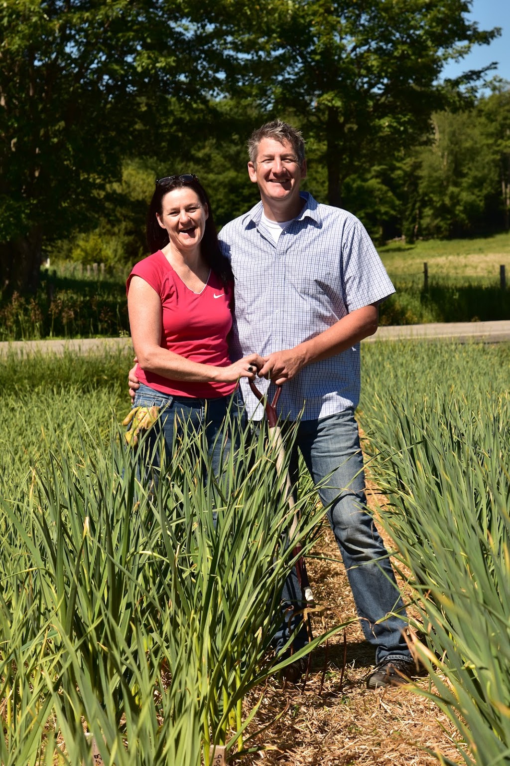 Production dail La Garlic | 1092 Rue Saint Camille, Saint-Jérôme, QC J5L 2K7, Canada | Phone: (450) 569-2112