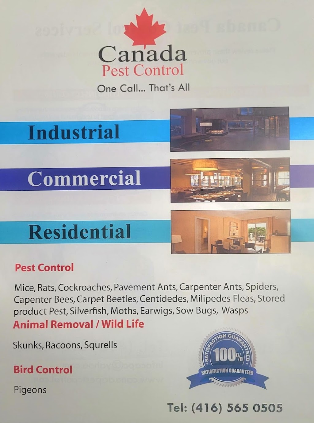 Canada Pest Control | Tinsmith St, Brampton, ON L7A 1N3, Canada | Phone: (416) 565-0505