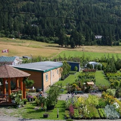 Coldstream Willows Nursery | 6800 Learmouth Rd, Coldstream, BC V1B 3G9, Canada | Phone: (250) 260-3446