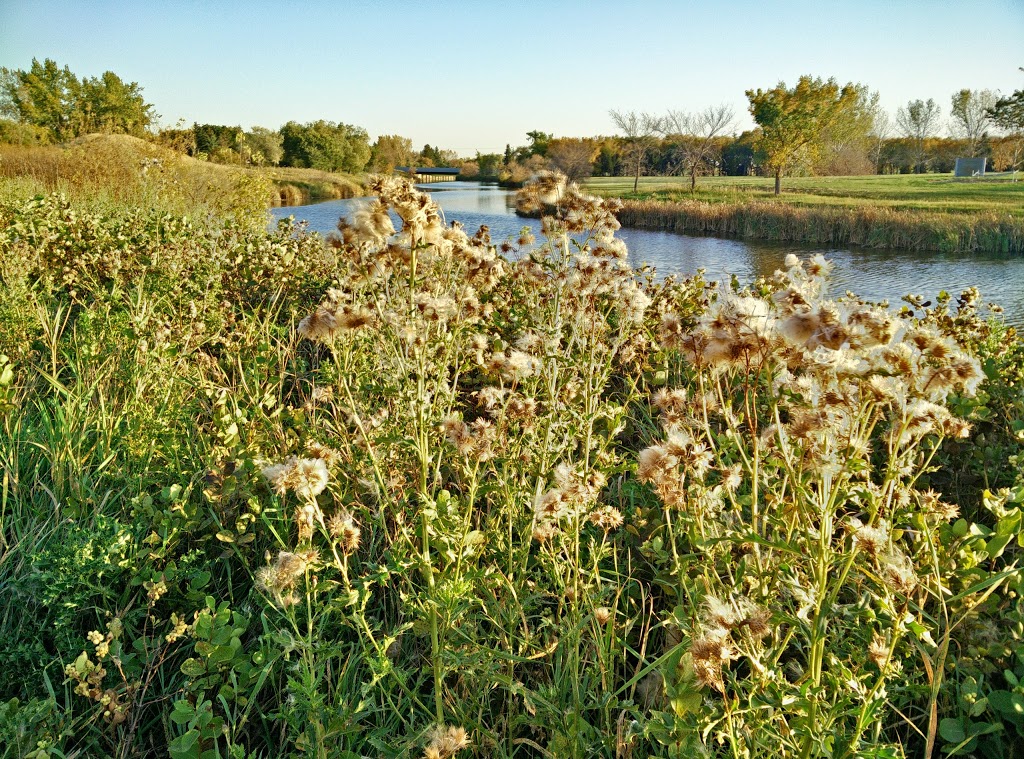 Grassick Park | Regina, SK S4T, Canada