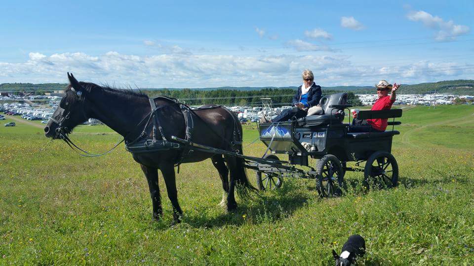 Bisou Bisou Et Les Productions Lazaro). | 3198 9e Rang, Notre-Dame-du-Bon-Conseil, QC J0C 1A0, Canada | Phone: (450) 730-7707