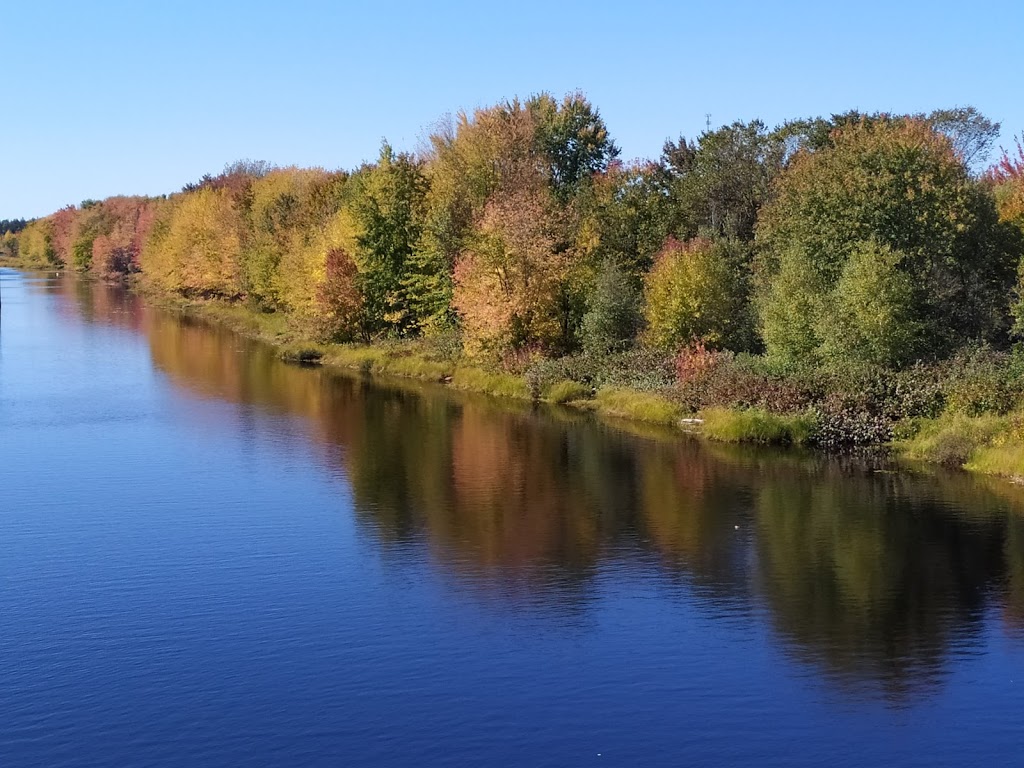 JD Irving Sawmill - Grand Lake Timber | 290 Main St, Chipman, NB E4A 2M7, Canada | Phone: (506) 339-7900