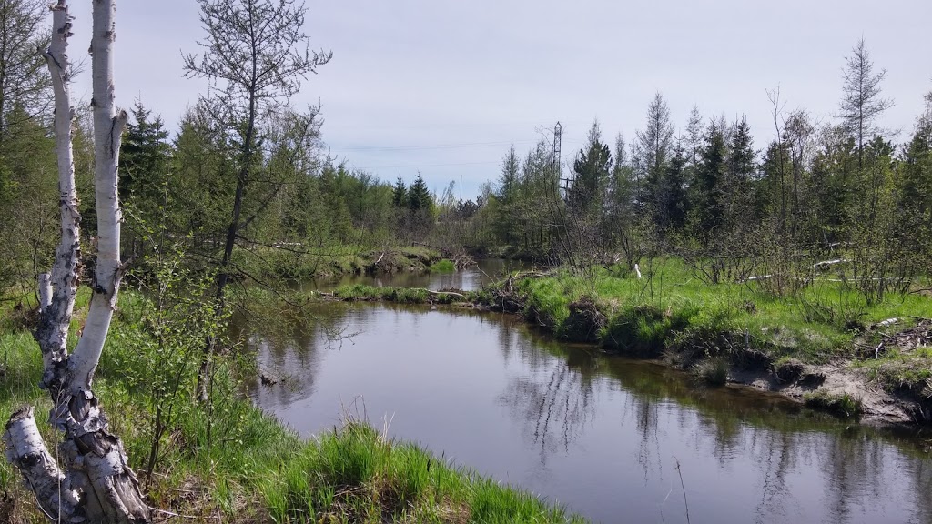 Jane Goodall Reclaimation Trail | 775-851 Garson Coniston Rd, Garson, ON P3L 1V9, Canada