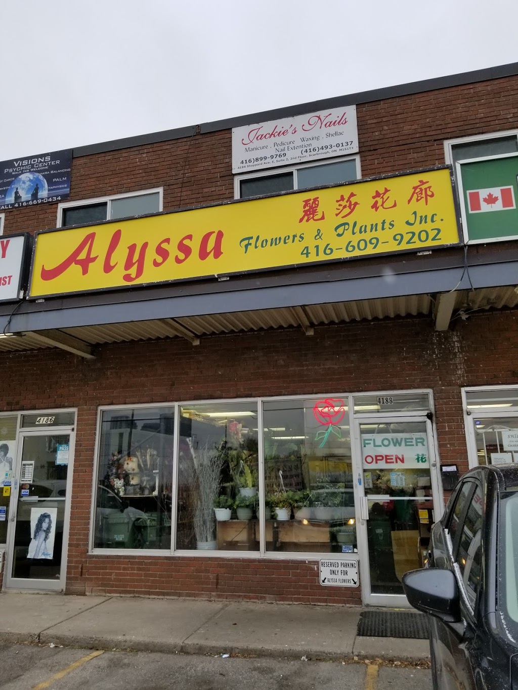 Alyssa Flowers & Plants Inc | 4188 Sheppard Ave E, Scarborough, ON M1S 1T3, Canada | Phone: (416) 609-9202