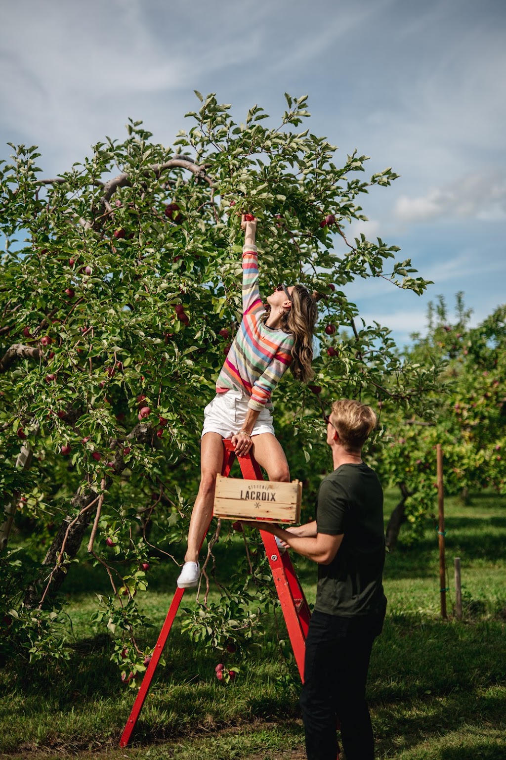 Cidrerie Lacroix - Verger & Table Gourmande | 649 Chem. Principal, Saint-Joseph-du-Lac, QC J0N 1M0, Canada | Phone: (450) 623-4888